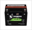 Interstate Marine Batteries - Personal Watercraft